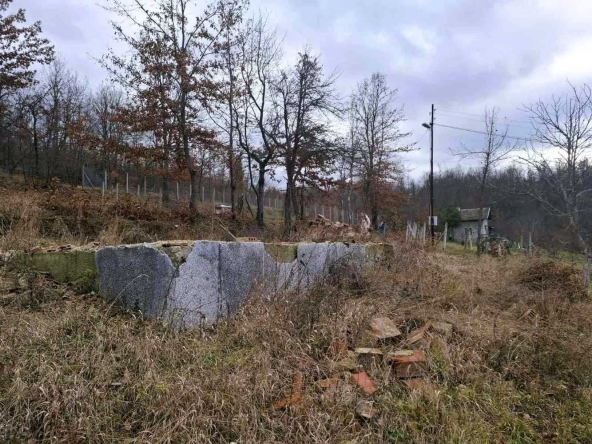 Парцел в с. Габровци, Област Велико Търново - 1700 кв.м за 26 €/кв.м - Снимка #1