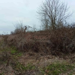 Парцел в с. Равна гора, Област Варна - 581 кв.м за 3 €/кв.м - Снимка #1