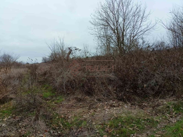 Парцел в с. Равна гора, Област Варна - 581 кв.м за 3 €/кв.м - Снимка #1