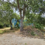 Парцел в с. Бръчковци, Област Велико Търново - 17998 кв.м за 2 €/кв.м - Снимка #1