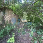 Парцел в Долна Оряховица - 1500 кв.м за 8 €/кв.м - Снимка #1