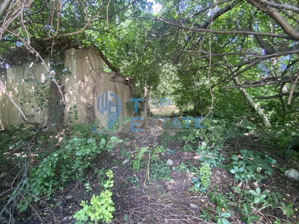 Парцел в Долна Оряховица - 1500 кв.м за 8 €/кв.м - Снимка #1