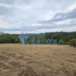 Парцел в Елена - 14900 кв.м за 3 €/кв.м - Снимка #1