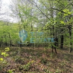 Парцел в с. Боженците, Област Габрово - 466 кв.м за 25 €/кв.м - Снимка #1