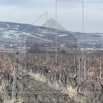 Парцел в с. Първенец, Област Пловдив - 3321 кв.м за 25 €/кв.м - Снимка #1