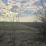 Парцел в с. Крумово, Област Пловдив - 2597 кв.м за 26 €/кв.м - Снимка #1