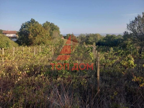 Парцел в с. Слънчево, Област Варна - 480 кв.м за 21 €/кв.м - Снимка #1