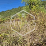 Парцел в с. Присово, Област Велико Търново - 1350 кв.м за 17 €/кв.м - Снимка #1