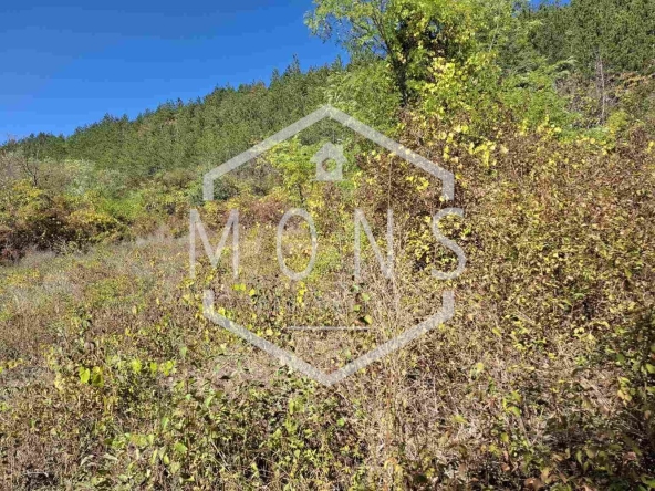 Парцел в с. Присово, Област Велико Търново - 1350 кв.м за 17 €/кв.м - Снимка #1