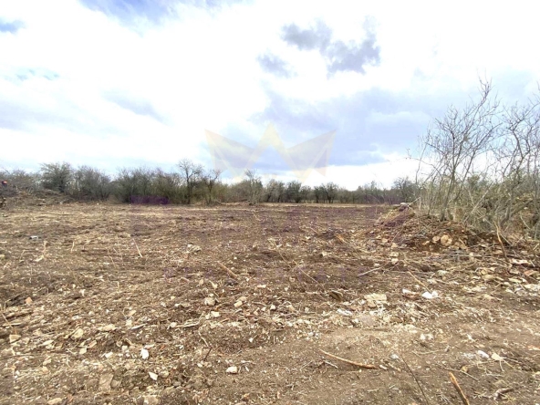 Парцел в с. Левски, Област Варна - 1710 кв.м за 17 €/кв.м - Снимка #1