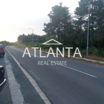 Парцел в Свети Влас - 3000 кв.м за 112 €/кв.м - Снимка #1