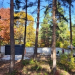 Къща в София, Симеоново - 219 кв.м за 2055 €/кв.м - Снимка #1