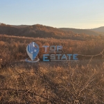 Парцел в с. Равново, Област Велико Търново - 1070 кв.м за 7 €/кв.м - Снимка #1