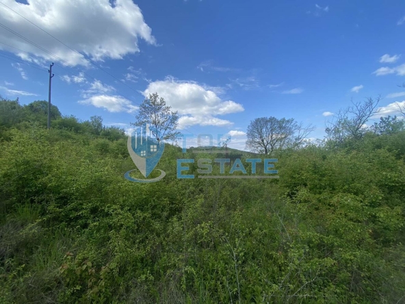 Парцел в Велико Търново, Бузлуджа - 5000 кв.м за 50 €/кв.м - Снимка #1