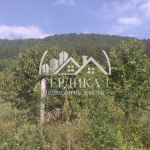 Парцел в с. Копиловци, Област Кюстендил - 900 кв.м за 24 €/кв.м - Снимка #1