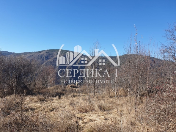 Парцел в с. Ковачевица, Област Благоевград - 1800 кв.м за 28 €/кв.м - Снимка #1