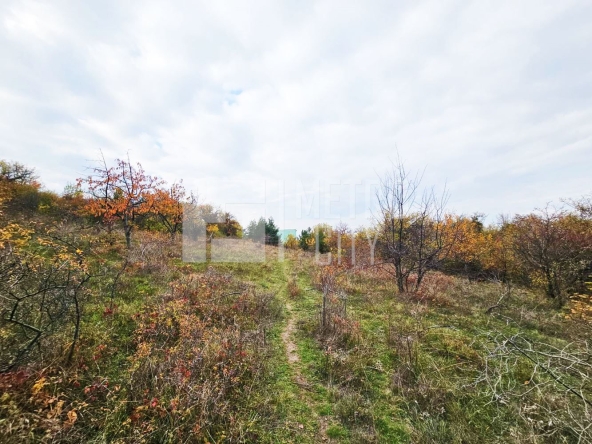 Парцел в София, в.з. Врана - Герман - 2000 кв.м за 133 €/кв.м - Снимка #1