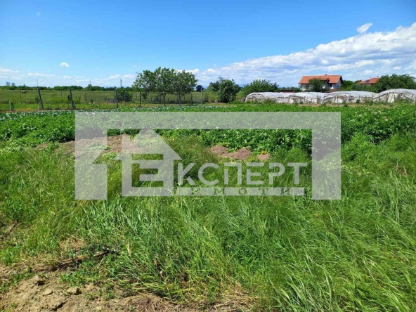 Парцел в с. Трилистник, Област Пловдив - 572 кв.м за 62 €/кв.м - Снимка #1