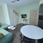 Дава се под наем Тристаен апартамент в София, Студентски град - 75 кв.м за 750 € - Снимка #1