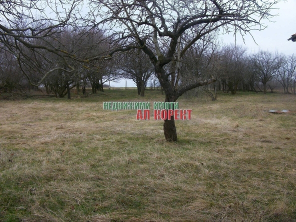 Парцел в с. Николаевка, Област Варна - 1692 кв.м за 12 €/кв.м - Снимка #1