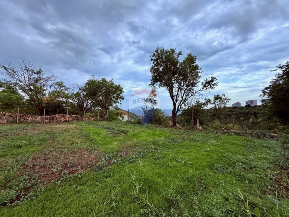 Парцел в Балчик - 794 кв.м за 101 €/кв.м - Снимка #1