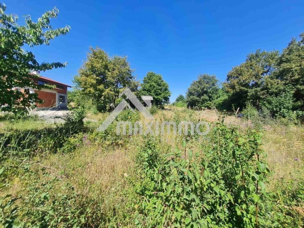 Парцел в с. Осеново, Област Варна - 600 кв.м за 67 €/кв.м - Снимка #1