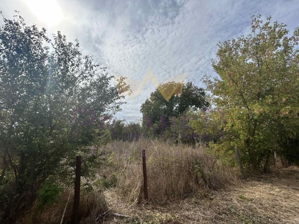 Парцел в с. Царичино, Област Добрич - 680 кв.м за 42 €/кв.м - Снимка #1