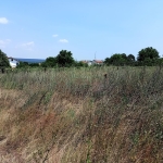 Парцел в с. Детелина, Област Варна - 920 кв.м за 14 €/кв.м - Снимка #1