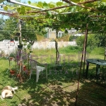 Къща в с. Бенковски, Област Варна - 40 кв.м за 1553 €/кв.м - Снимка #1