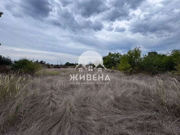 Парцел в с. Царичино, Област Добрич - 1265 кв.м за 20 €/кв.м - Снимка #1