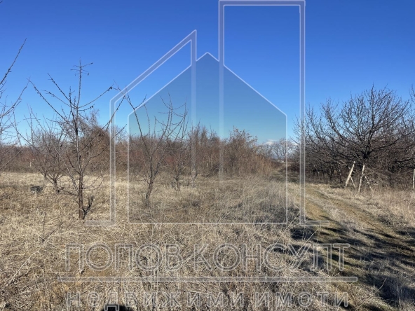 Парцел в с. Брестник, Област Пловдив - 3153 кв.м за 50 €/кв.м - Снимка #1