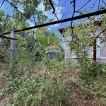 Парцел в с. Гурково, Област Добрич - 1319 кв.м за 29 €/кв.м - Снимка #1