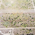 Парцел в с. Приселци, Област Варна - 11399 кв.м за 7 €/кв.м - Снимка #1