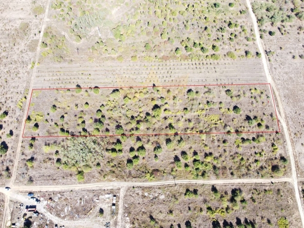 Парцел в с. Приселци, Област Варна - 11399 кв.м за 7 €/кв.м - Снимка #1