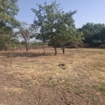 Парцел в с. Здравец, Област Варна - 1200 кв.м за 42 €/кв.м - Снимка #1