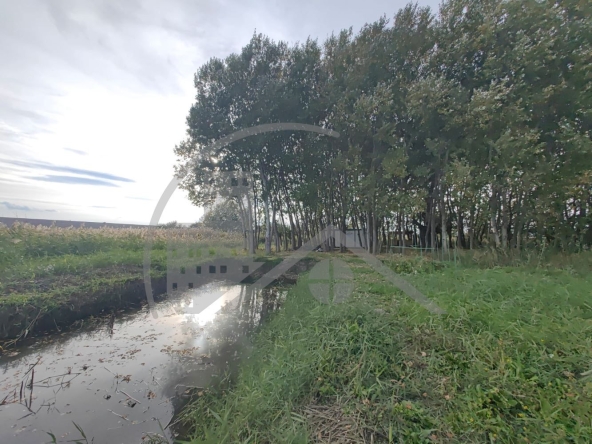 Парцел в с. Тополи, Област Варна - 5639 кв.м за 6 €/кв.м - Снимка #1