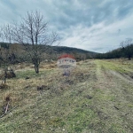 Парцел в с. Църква, Област Добрич - 25000 кв.м за 3 €/кв.м - Снимка #1