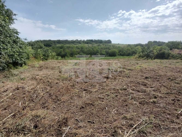 Парцел в с. Ваклино, Област Добрич - 1090 кв.м за 12 €/кв.м - Снимка #1