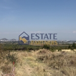 Парцел в с. Белащица, Област Пловдив - 625 кв.м за 111 €/кв.м - Снимка #1