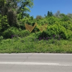 Парцел в с. Оброчище, Област Добрич - 1193 кв.м за 27 €/кв.м - Снимка #1