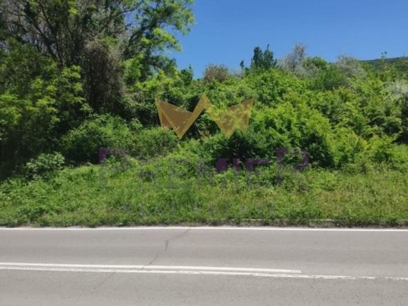 Парцел в с. Оброчище, Област Добрич - 1193 кв.м за 27 €/кв.м - Снимка #1