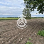 Парцел в с. Строево, Област Пловдив - 2623 кв.м за 10 €/кв.м - Снимка #1