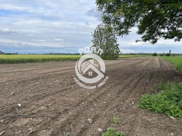 Парцел в с. Строево, Област Пловдив - 2623 кв.м за 10 €/кв.м - Снимка #1