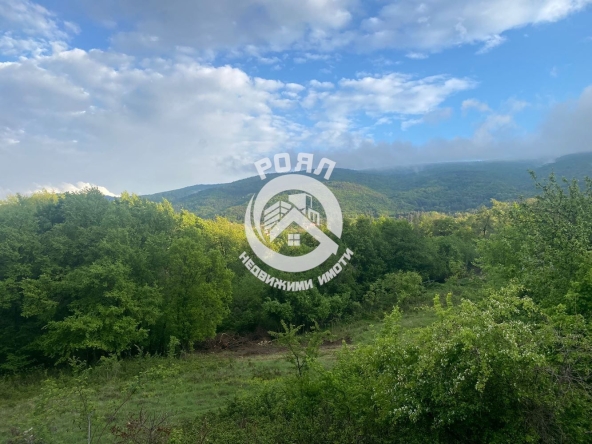 Парцел в с. Гълъбово, Област Пловдив - 1271 кв.м за 42 €/кв.м - Снимка #1