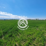 Парцел в с. Скутаре, Област Пловдив - 1000 кв.м за 23 €/кв.м - Снимка #1