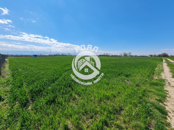 Парцел в с. Скутаре, Област Пловдив - 1000 кв.м за 23 €/кв.м - Снимка #1