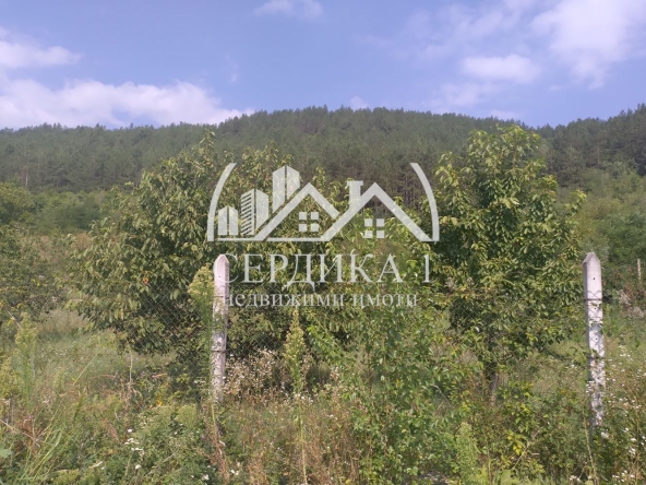 Парцел в с. Копиловци, Област Кюстендил - 900 кв.м за 24 €/кв.м - Снимка #1