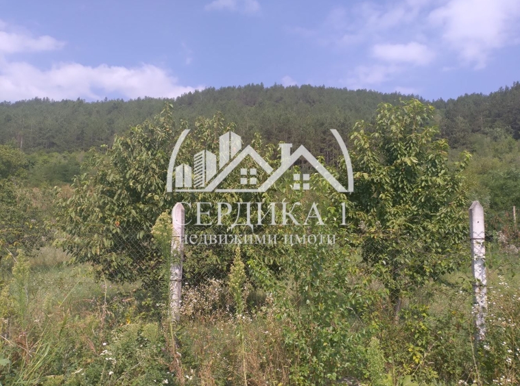 Парцел в с. Копиловци, Област Кюстендил - 900 кв.м за 24 €/кв.м - Снимка #1