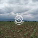 Парцел в Пловдив, Прослав - 7020 кв.м за 10 €/кв.м - Снимка #1