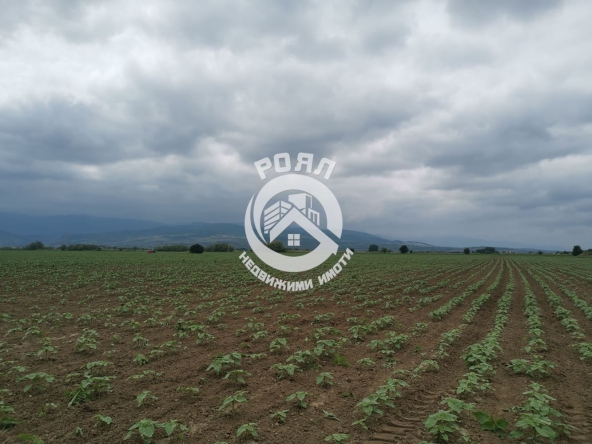 Парцел в Пловдив, Прослав - 7020 кв.м за 10 €/кв.м - Снимка #1